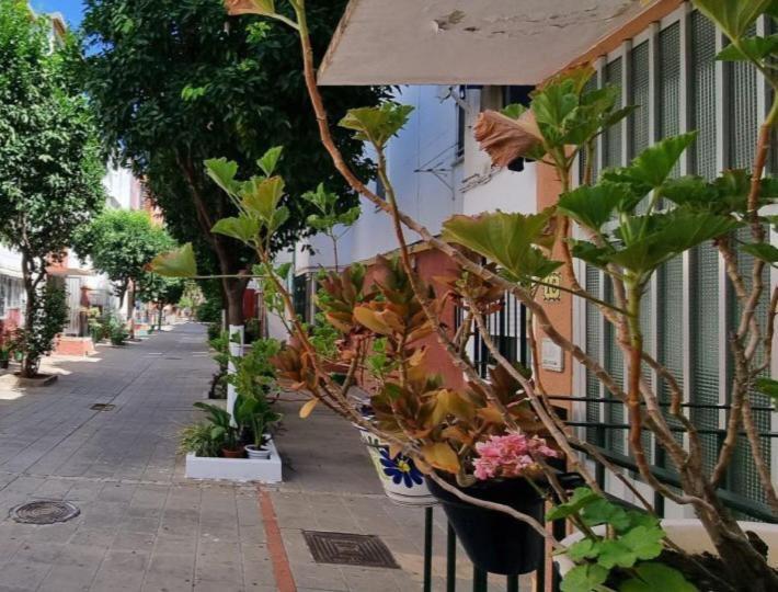 Apartamento Triana Lejlighed Sevilla Eksteriør billede
